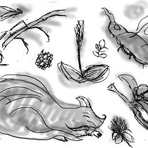 Mon projet du cours : Papeterie illustrée : guide pour commercialiser vos créations Ein Projekt aus dem Bereich Traditionelle Illustration, Br, ing und Identität, Kreative Beratung, Designverwaltung, Marketing, Zeichnung, Digitale Illustration, Portfolioverwaltung, Realistische Zeichnung, Digitale Malerei, Naturalistische Illustration, Markenstrategie, Management und Produktivität von Camille Roh - 05.04.2023