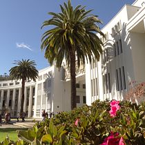 Paseo por la Universidad de Concepción. Un proyecto de Fotografía digital y Fotografía analógica de pablomunoz_8617 - 02.07.2023