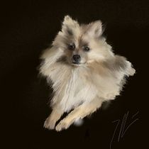 Mi proyecto del curso: Pintura e ilustración realista con Procreate. Ilustração tradicional, Artes plásticas, Desenho, Ilustração digital, Desenho realista, e Pintura digital projeto de olveiraj - 06.04.2023