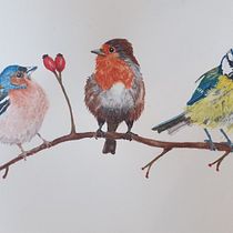 My project for course: Artistic Watercolor Techniques for Illustrating Birds. Projekt z dziedziny Trad, c, jna ilustracja, Malowanie akwarelą, Ilustracja naturalist i czna użytkownika Melanie Burden - 06.04.2023