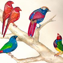 My project for course: Artistic Watercolor Techniques for Illustrating Birds. Traditional illustration, Watercolor Painting, Realistic Drawing, and Naturalistic Illustration project by Brigitte Fabi - 04.01.2023