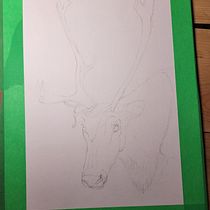 Mon projet du cours : Techniques expérimentales d’aquarelle pour débutants. Un progetto di Illustrazione tradizionale, Belle arti, Pittura ad acquerello e Illustrazione naturalistica di ju.michaud.88 - 02.04.2023