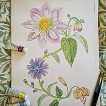 My project for course: Realistic Watercolor for Botanical Compositions. Un projet de Illustration traditionnelle, Peinture, Dessin, Aquarelle et Illustration botanique de Fanny Johansson - 07.04.2023