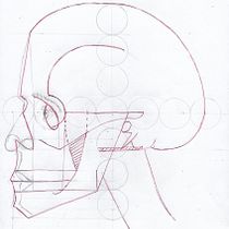 Mi proyecto del curso: Dibujo anatómico para principiantes. Fine Arts, Sketching, Pencil Drawing, Drawing, Realistic Drawing, and Figure Drawing project by Ana Moreno - 04.07.2023
