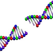  Escrita de conto: DNA. Writing, Creativit, Narrative, Creative Writing, Stor, telling, and Non-Fiction Writing project by Ariane - 04.05.2023