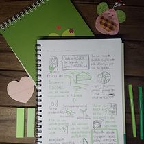 Meu projeto do curso: Sketchnoting: comunique-se com anotações visuais. Projekt z dziedziny Trad, c, jna ilustracja, Kreat, wność,  R, sunek, Komunikacja, Zarządzanie, Produkt, wność i Business użytkownika Clara Kilp - 08.04.2023