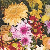 Mi proyecto del curso: Diseño y creación de composiciones florales. Un progetto di Interior design, Paesaggismo, Interior Design, DIY e Design floreale e vegetale di Sinahí Arellano - 19.04.2023