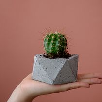 Mi proyecto del curso: Creación de muebles en concreto para principiantes. Een project van Craft, Meubelontwerp en -bouw, Interieurontwerp,  Interieur y DIY van MariaJosé Mejias Contreras - 09.04.2023