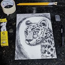 Meu projeto do curso: Ilustração de animais com carvão vegetal e tinta. Fine Arts, Drawing, Ink Illustration, and Naturalistic Illustration project by Tamara Geremia Melchior - 04.09.2023