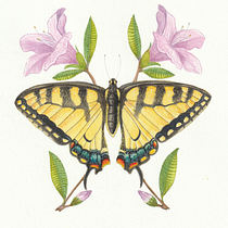 My project for course: Naturalistic Illustration in Watercolor and Gouache. Fine Arts, Painting, Watercolor Painting, Botanical Illustration, Naturalistic Illustration, and Gouache Painting project by sarah.parson - 04.10.2023