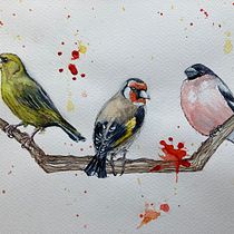 My project for course: Artistic Watercolor Techniques for Illustrating Birds. Traditional illustration, Watercolor Painting, Realistic Drawing, and Naturalistic Illustration project by Chris Taylor - 04.10.2023