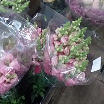 Meu projeto do curso: Design e criação de composições florais. Un progetto di Interior design, Paesaggismo, Interior Design, DIY e Design floreale e vegetale di taynapramos - 11.04.2023