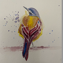 My project for course: Artistic Watercolor Techniques for Illustrating Birds. Traditional illustration, Watercolor Painting, Realistic Drawing, and Naturalistic Illustration project by msdonsey - 04.11.2023