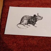Mein Abschlussprojekt für den Kurs: Tiere zeichnen mit Kohle und Tusche. Fine Arts, Drawing, Ink Illustration, and Naturalistic Illustration project by B Z - 04.11.2023