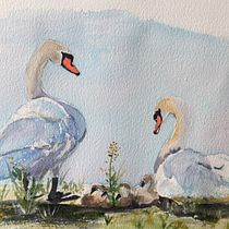 My project for course: Artistic Watercolor Techniques for Illustrating Birds. Traditional illustration, Watercolor Painting, Realistic Drawing, and Naturalistic Illustration project by Béatrice Ledermann - 04.11.2023
