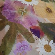 Mi proyecto del curso: Técnicas básicas de prensado botánico. Un progetto di Artigianato, Belle arti, Collage, DIY e Design floreale e vegetale di Cristina AZ - 09.04.2023