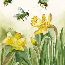 My project for course: Illustrating Nature: A Creative Exploration. Traditional illustration, Painting, Drawing, Watercolor Painting, Ink Illustration, and Naturalistic Illustration project by eva8030 - 04.12.2023