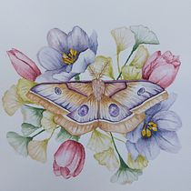 Mój projekt z kursu: Rysunek naturalistyczny i kompozycja w akwareli. Traditional illustration, Drawing, Watercolor Painting, and Naturalistic Illustration project by Hania G - 04.12.2023