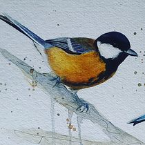 Il mio progetto del corso: Acquerello artistico per illustrazione di animali: gli uccelli. Traditional illustration, Watercolor Painting, Realistic Drawing, and Naturalistic Illustration project by mariellambrosini - 04.12.2023