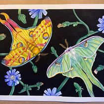 My project for course: Naturalistic Illustration in Watercolor and Gouache. Fine Arts, Painting, Watercolor Painting, Botanical Illustration, Naturalistic Illustration, and Gouache Painting project by Julie-Claude Vezeau-Croteau - 04.13.2023