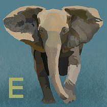 My project for course: Wildlife Illustration for Children's Books. Un progetto di Illustrazione digitale e Illustrazione infantile di Ivana - 14.04.2023