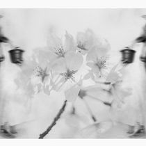 Il mio progetto del corso: Fotografia concettuale con luce naturale. Portrait Photograph, Photographic Lighting, and Fine-Art Photograph project by Manuela Donato - 04.14.2023