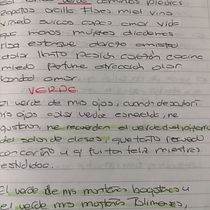 Mi proyecto del curso: Gimnasio de escritura: de la hoja en blanco a la práctica cotidiana Ein Projekt aus dem Bereich Schrift, Kreativität, Stor, telling, Erzählung und Kreatives Schreiben von Adriana Lelión Lozano - 15.04.2023