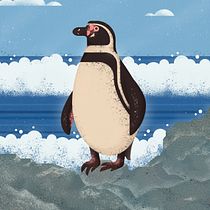 Pinguino de Humboldt: Ilustración de fauna salvaje para libros infantiles. Un progetto di Illustrazione vettoriale, Illustrazione digitale e Illustrazione infantile di nathparraga - 16.04.2023