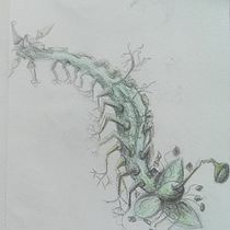 My project for course: Whimsical Sketchbook: Draw Imaginary Creatures from Nature. Pencil Drawing, Drawing, Watercolor Painting, Sketchbook, and Naturalistic Illustration project by lionsaidh.smith - 04.16.2023