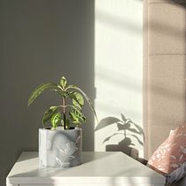 Mi proyecto del curso: Fotografía profesional para Instagram. Advertising, Photograph, Marketing, Social Media, Mobile Photograph, Product Photograph, Mobile Marketing, Instagram, Instagram Photograph, Lifest, and le Photograph project by Romina Muñoz - 03.09.2023