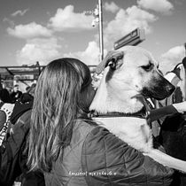 1.365.a grayscale journey.. Projekt z dziedziny Fotografia, Doradztwo kreat, wne i Zarządzanie projektowaniem użytkownika luismirasalvador - 17.04.2023