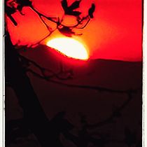 Cere_zon / Creciendo juntos. Advertising, Photograph, Marketing, Social Media, Mobile Photograph, Product Photograph, Mobile Marketing, Instagram, Instagram Photograph, Lifest, and le Photograph project by eu_malejandra_castillo_agurto - 05.11.2023