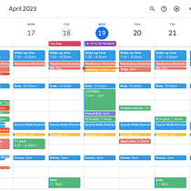 My project for course: 2-Week Calendar for Energy & Time Management. Management, and Productivit project by erinshea927 - 04.19.2023