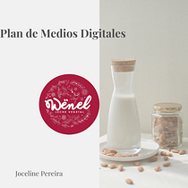 Desarrollo de un plan de medios digitales Wënel. Un progetto di Pubblicità, Social media, Marketing digitale, Marketing per Facebook, Growth Marketing e SEO di Joceline Pereira - 09.05.2023