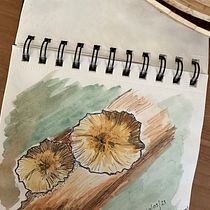 My project for course: Botanical Watercolor Sketchbook. Projekt z dziedziny Trad, c, jna ilustracja, Malowanie akwarelą, R, sunek botaniczn i Sketchbook użytkownika shaheens - 17.04.2023