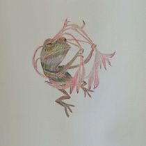My project for course: Surrealist Illustration Inspired by Nature. Traditional illustration, Pencil Drawing, Drawing, Artistic Drawing, Naturalistic Illustration, and Colored Pencil Drawing project by Maria Panera - 04.20.2023