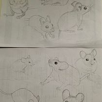 Mein Abschlussprojekt für den Kurs: Dynamische Tierillustration für Kindergeschichten. Un proyecto de Diseño de personajes, Dibujo a lápiz, Dibujo e Ilustración infantil de Juliane Buneß - 20.04.2023