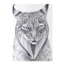 Mi proyecto del curso: Dibujo naturalista de animales con grafito. Traditional illustration, Pencil Drawing, Drawing, and Naturalistic Illustration project by Carmen Sánchez - 04.20.2023