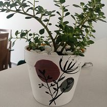 Mi proyecto del curso: Ilustración en acrílico aplicada a producto Ein Projekt aus dem Bereich Bildende Künste, Malerei, Musterdesign, Malerei mit Acr, l, DIY und Dekoratives Malen von Lina Rojas Prado - 21.04.2023
