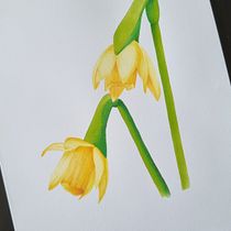 My project for course: Illustration with Markers: Find Your Style. Un projet de Illustration traditionnelle, Peinture , et Théorie des couleurs de as_amado - 20.04.2023