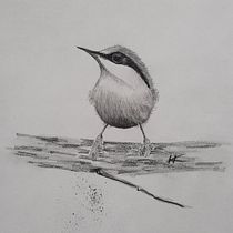 Mein Abschlussprojekt für den Kurs: Illustriere Vögel mit expressiven Aquarelltechniken. Traditional illustration, Watercolor Painting, Realistic Drawing, and Naturalistic Illustration project by heidrunknoch - 04.21.2023