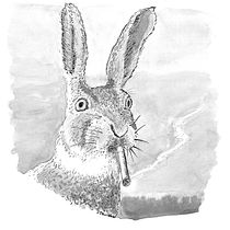 My project for course: Introduction to Illustration with India Ink. Ilustração tradicional, Artes plásticas, Desenho e Ilustração com tinta projeto de Frank Dellario - 19.04.2023