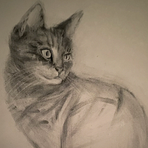 My project for course: Expressive Drawing with Charcoal. Fine Arts, Drawing, Portrait Drawing, and Naturalistic Illustration project by msdonsey - 04.22.2023