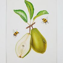 My project for course: Realistic Botanical Illustration: Escape to Nature. Painting, Watercolor Painting, Botanical Illustration, and Naturalistic Illustration project by Diyana - 04.24.2023