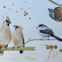 Mijn project van de cursus: Vogels illustreren met artistieke aquarel. Traditional illustration, Watercolor Painting, Realistic Drawing, and Naturalistic Illustration project by juut71 - 04.24.2023