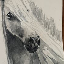 My project for course: Expressive Animal Portraits in Watercolor. Een project van Traditionele illustratie, Realistische tekening y Naturalistische illustratie van Ginger Erskine - 21.04.2023