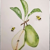 Mein Abschlussprojekt für den Kurs: Realistische botanische Illustration: Finde Zuflucht in der Natur. Painting, Watercolor Painting, Botanical Illustration, and Naturalistic Illustration project by ydrinka - 04.25.2023