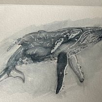 Une baleine à bosse et son baleineau / Humpback Whale and calf. Un progetto di Belle arti, Pittura, Pittura ad acquerello e Illustrazione naturalistica di Elyse Gagnon - 24.04.2023