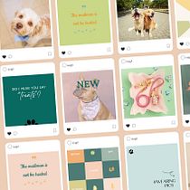 My project for course: Instagram Feed Design with Canva. Design gráfico, Marketing, Redes sociais, Instagram, e Design digital projeto de daniellawrasse - 25.04.2023