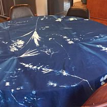 My project for course: Cyanotype: Printing with Light. Un projet de Artisanat, Beaux Arts, Estampe, DIY , et Photographie argentique de esme.morley - 27.04.2023